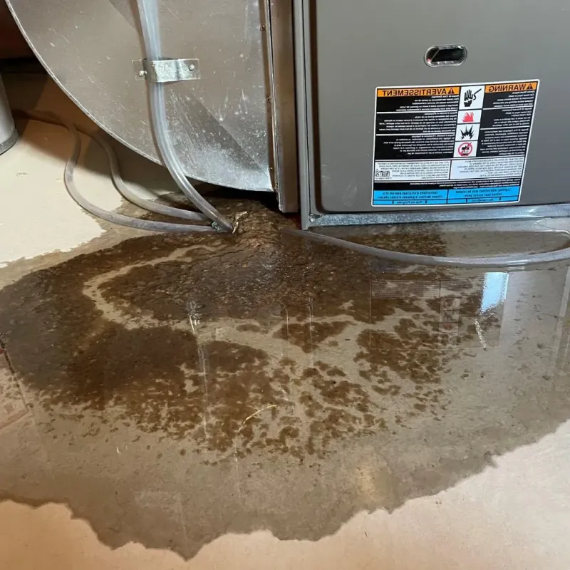 Pipe Burst and Leak Restoration in Ajo, AZ